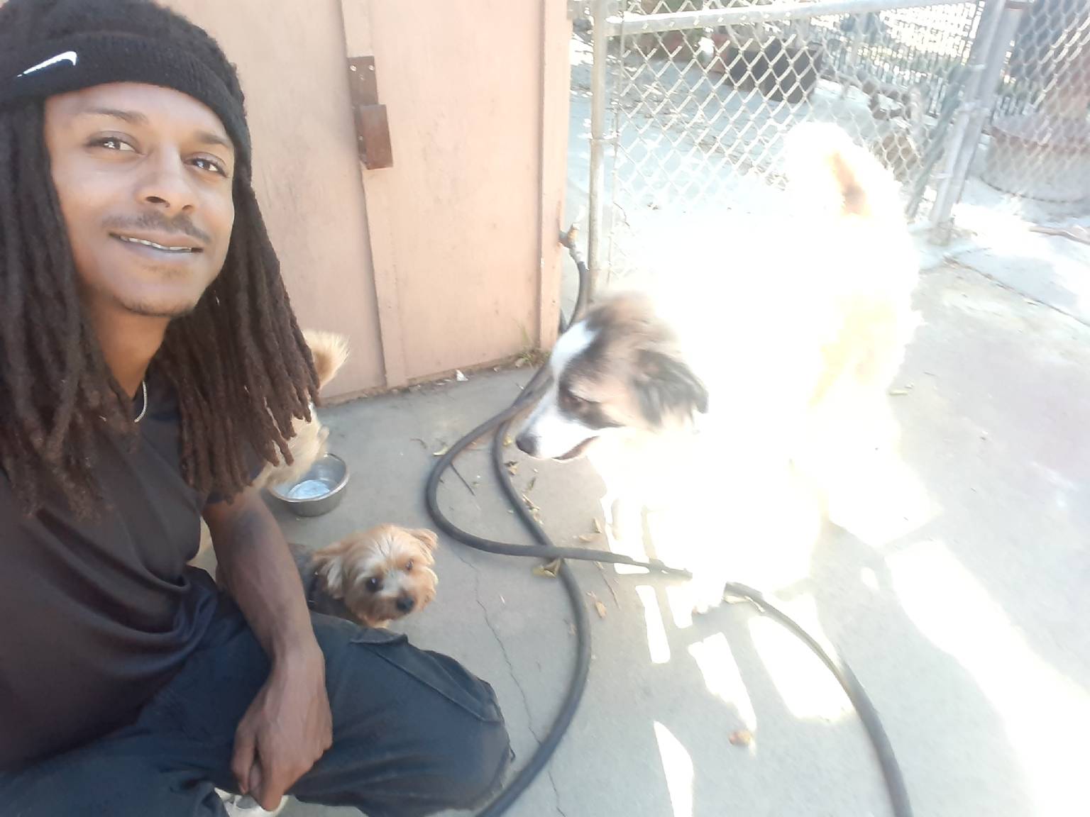 Dog in calm, safe home environment